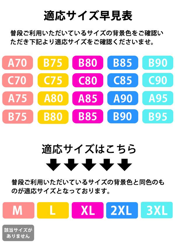 ナイトブラレディースノンワイヤー下着インナー上下脇肉育乳スッキリ楽ちん快適おしゃれメール便のみ送料無料27月1日から10日入荷予定