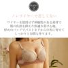 ブラジャーショーツセット脇高レディース美乳下着脇肉インナー上下メール便のみ送料無料27月10日から20日入荷予定