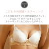 ブラジャーショーツセット脇高レディース美乳下着脇肉インナー上下メール便のみ送料無料27月10日から20日入荷予定