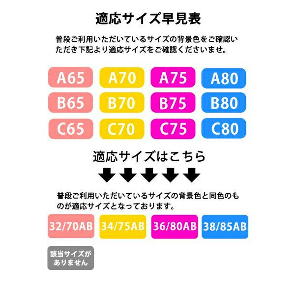 ブラジャーショーツセットノンワイヤーレディース脇高下着快適インナー補正上下楽ちん柔らか花柄メール便送料無料28月10日から20日入荷予定